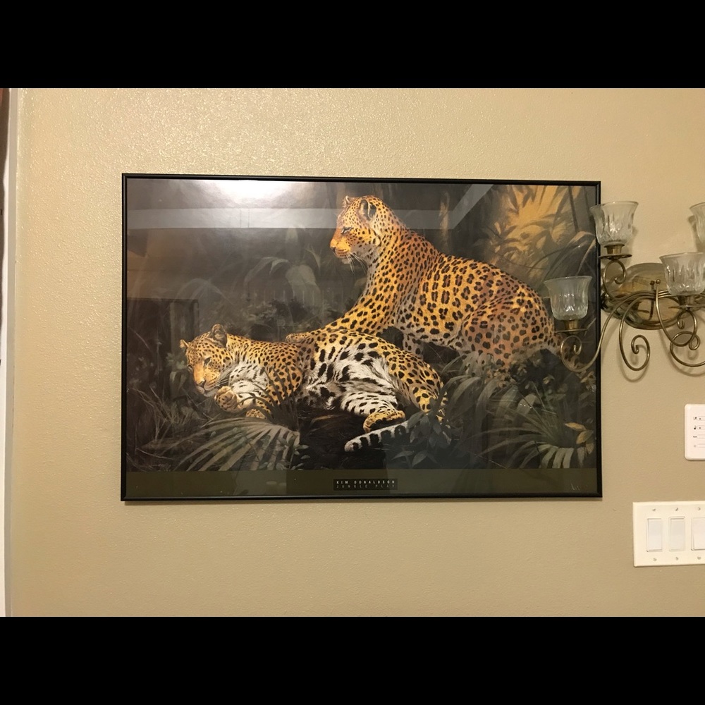 Home Interior Original pics in excellent condition